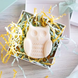 You can’t go wrong making these adorable Owl Goat Milk And Honey Soap teacher gifts. With just 2 ingredients the process is ultra-quick! So, your kids can take part in making a unique teacher gift and get back playing.