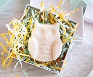 You can’t go wrong making these adorable Owl Goat Milk And Honey Soap teacher gifts. With just 2 ingredients the process is ultra-quick! So, your kids can take part in making a unique teacher gift and get back playing.