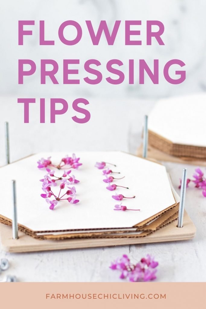 How to Use a Flower Press and Tips for Pressing Flowers