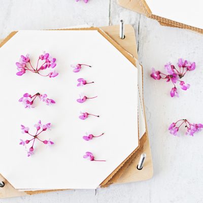 How to Use a Flower Press