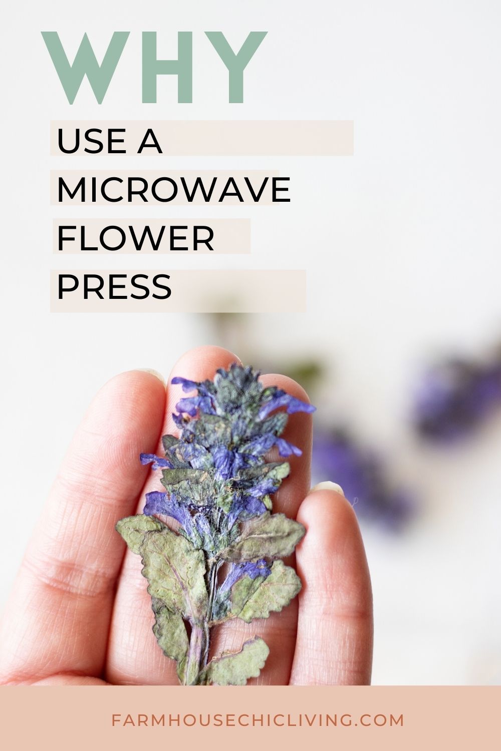How to Use a Microwave Flower Press to Dry Flowers Quickly