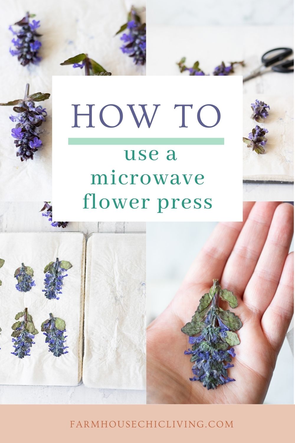 How to Use a Microwave Flower Press to Dry Flowers Quickly