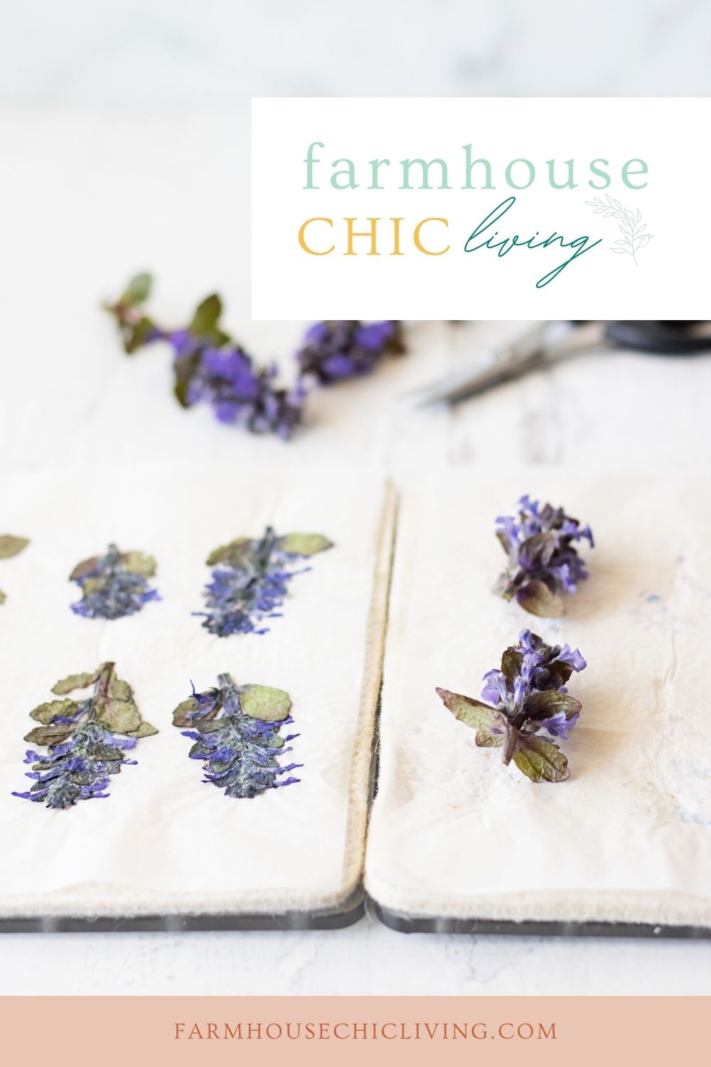 How to Use a Microwave Flower Press to Dry Flowers Quickly