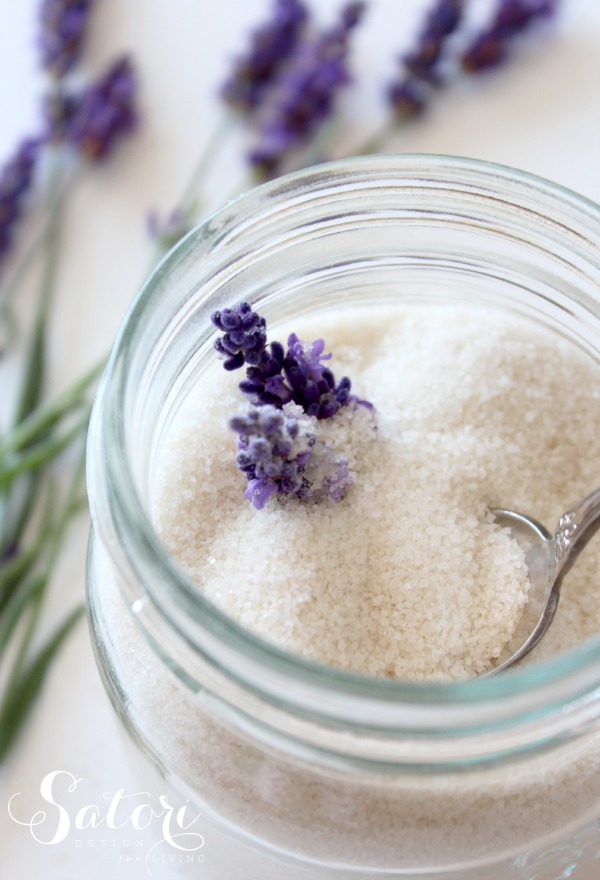 If you’ve only enjoyed the heavenly aroma and beautiful color of lavender blossoms it’s time to enjoy the flavor too! This simple DIY for lavender-infused sugar adds flavor to iced tea, fruit, desserts, and more. And it is so easy to put together using fresh or dried lavender.