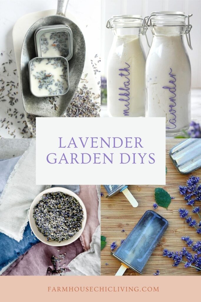 For those of us who can’t seem to keep enough lavender on hand, growing a lavender garden is the best solution. We're answering all the questions about growing lavender and sharing our favorite lavender DIYs too!